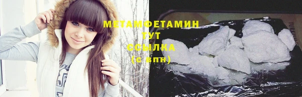 прущие грибы Верея