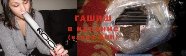 прущие грибы Верея