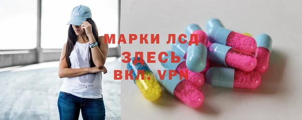 прущие грибы Верея