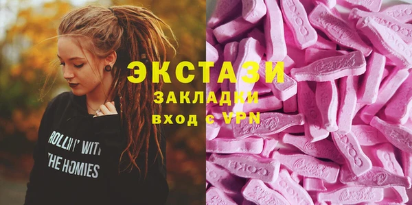 прущие грибы Верея