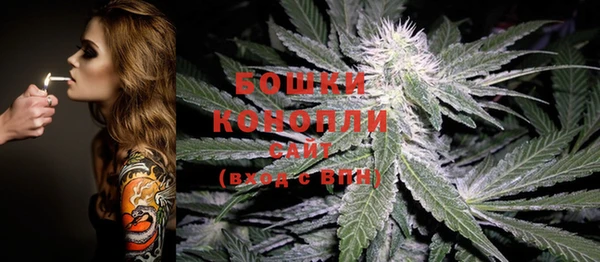 прущие грибы Верея