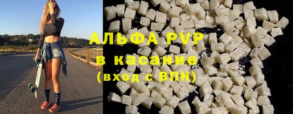 прущие грибы Верея