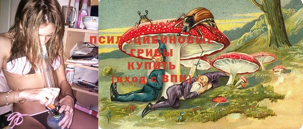 прущие грибы Верея